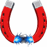 MAGNET COIL